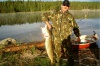 рыбалка в Финляндии, Щука.