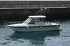 Рыбалка на о.Мадейра, катер Baha Weekend Cruiser