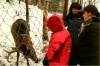 отдых в Финляндии, зоопарк.