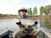 Астраханская область, база "World-Fish", рыбалка, Жерех.