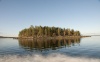 Рыбинское водохранилище, база "Рыбное место", природа.