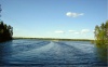 Рыбинское водохранилище, база "Рыбное место", природа.