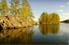 Карелия, база Заонего, природа.