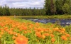 рыболовные туры в Красноярском крае, рыбалка на реке Бахта, природа