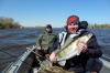 Астраханская область, база "World-Fish", рыбалка, Судак.