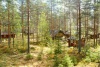 Финляндия, туристическая деревня Керимаа, размещение, коттедж №99, вид с террасы.