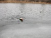 Рыбалка на теплоходе "Телец" в Астрахани, щука.