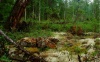 рыболовные туры в Красноярском крае, рыбалка на реке Бахта, природа