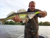 Астраханская область, база "World-Fish", рыбалка, Судак.