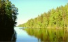 Рыбинское водохранилище, база "Рыбное место", природа.