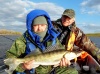 Астраханская область, база "World-Fish", рыбалка, Судак.