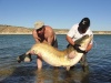 рыбалка в Испании, река Эбро