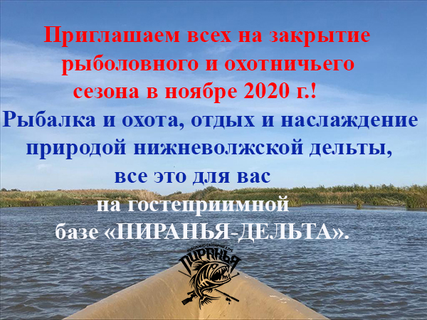 osen20.jpg osen20.jpg
