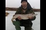 Астраханская область, база "World-Fish", рыбалка, Щука.